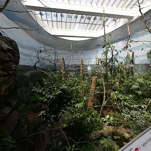 World of Birds - Rain Forest Exhibit