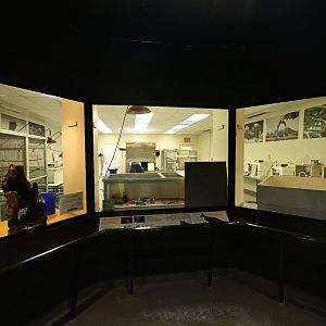 World of Birds - Nursery