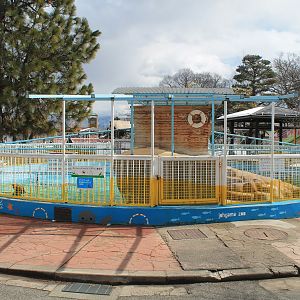 Californian Sealion pool, Joyama Zoo