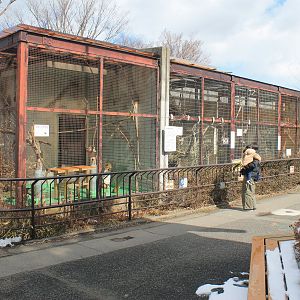 Monkey cages, Joyama Zoo