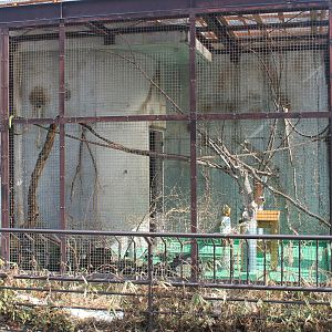 Squirrel Monkey cage, Joyama Zoo