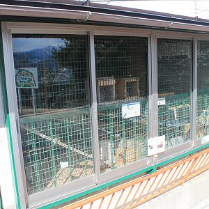 Chinchilla enclosure, Joyama Zoo