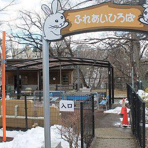 Petting zoo, Joyama Zoo