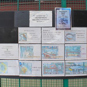 Night Heron feeding signage, Joyama Zoo