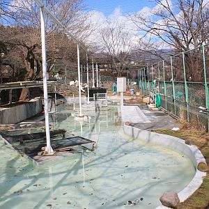 Great White Pelican pool, Joyama Zoo