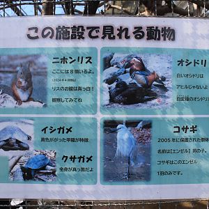 Aviary signage, Joyama Zoo