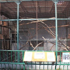 Japanese Squirrel cage, Joyama Zoo