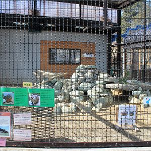 Rock Hyrax cage, Joyama Zoo