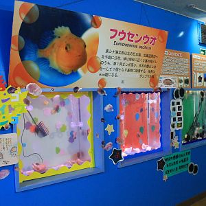 Lumpfish tanks, Wakkanai Aquarium