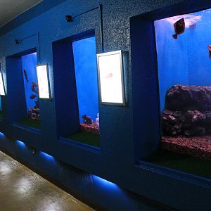Wakkanai Aquarium