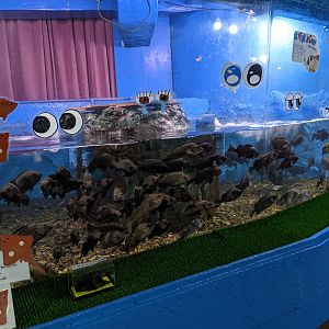 Wakkanai Aquarium