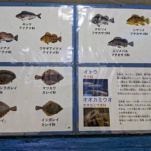 Signage example, Wakkanai Aquarium
