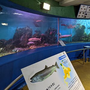 Wakkanai Aquarium