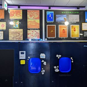Sea Angel tanks, Wakkanai Aquarium