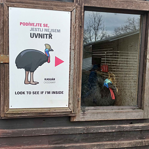 Look to see if I'm inside