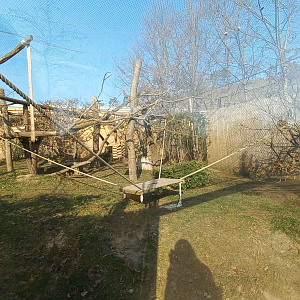 Fossa - Outdoor enclosure