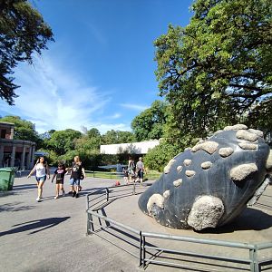Marine exhibitions - Ecoparque BA