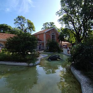Marine exhibitions - Ecoparque BA