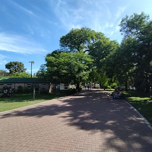 Walkway - Ecoparque BA