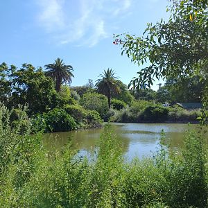 Lake Azara - Ecoparque BA