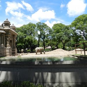 Elephant exhibit - Ecoparque BA