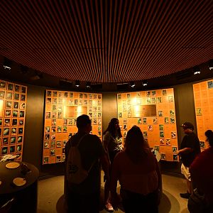 World of Birds - Egg/Hatchling Room