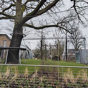 Newly built chimpanzee outdoor enclosure