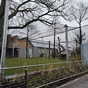Newly built chimpanzee outdoor enclosure