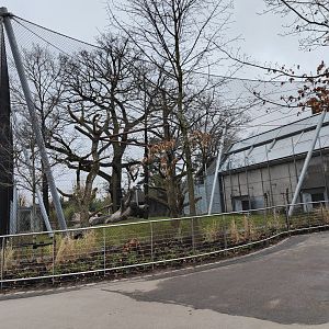Newly built chimpanzee outdoor enclosure