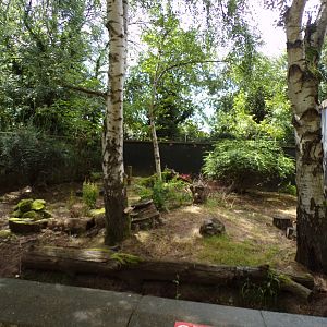 African spurred tortoise enclosure 7.7.24