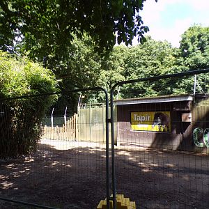Tapir enclosure closed off 7.7.24