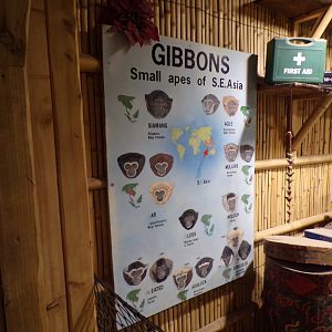 Gibbons id signage (awful) 7.7.24