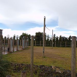 Giraffe enclosure 7.7.24