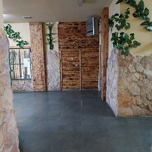 Egzotarium - Large felids