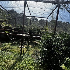 #1 Pastas Monkey Enclosure