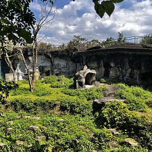 #2 Patas Monkey Exhibit
