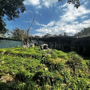 #2 Patas Monkey Exhibit