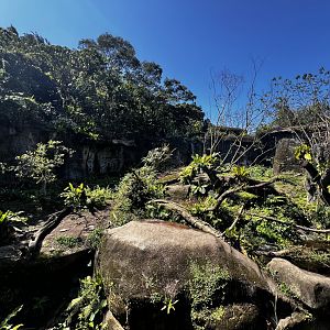 Formosan Black Bear Exhibit