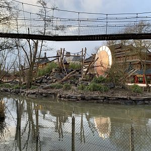 Former Gibbon enclosure, soon home to new monkey species.