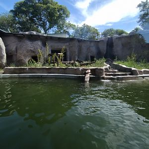 Former polar bear exhibit (holding a pair of giant otter) - Ecoparque BA