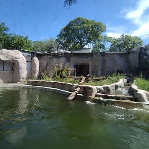 Former polar bear exhibit (holding a pair of giant otter) - Ecoparque BA