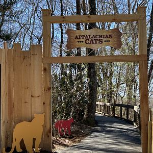 Entrance to Appalachian Cats