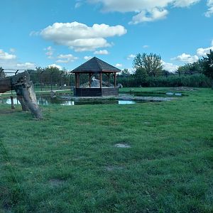 White tiger enclosure