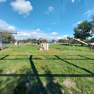 White Tiger enclosure