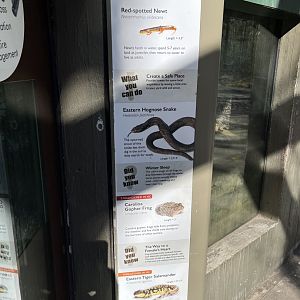 Cypress Swamp-Sandhills Species