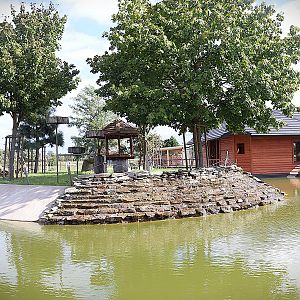 Water World - Collard mangabey (Cercocebus torquatus)
