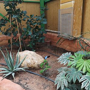 Inside the reptile house