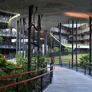 Mandai Rainforest Resort (opening April 2025)