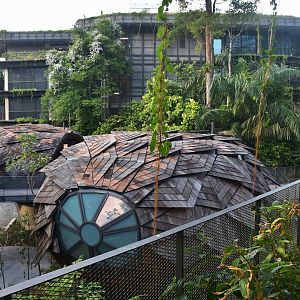 Mandai Rainforest Resort (opening April 2025)