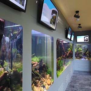 Overview amphibian area